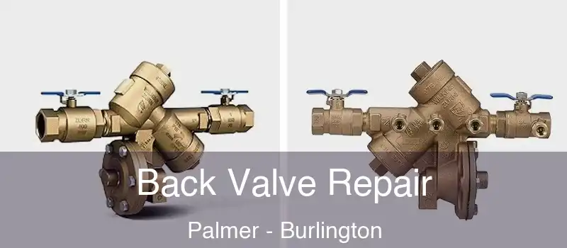 Back Valve Repair Palmer - Burlington