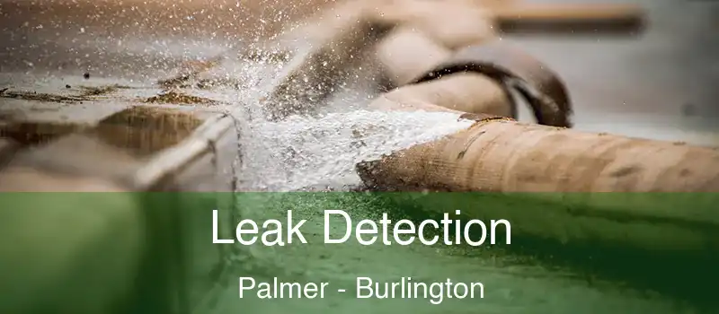 Leak Detection Palmer - Burlington